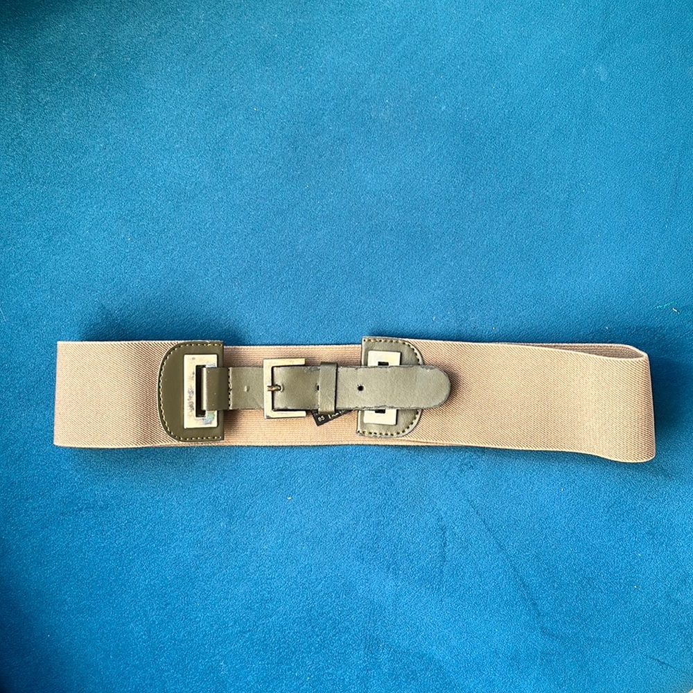 Mango belt